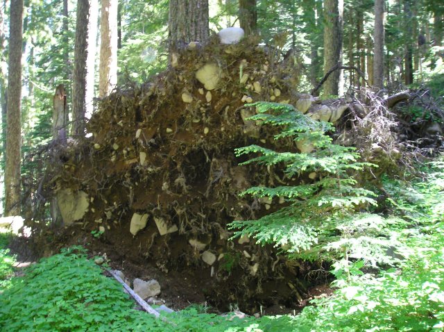 6.24-25.06 Memaloose Lake 010 